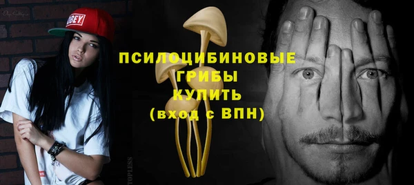 apvp Медногорск