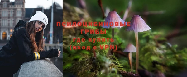 apvp Медногорск