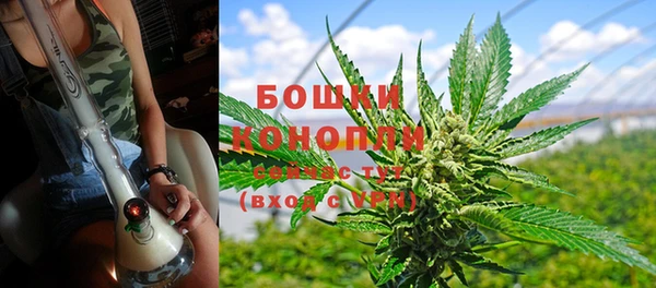 мяу мяу мука Кодинск
