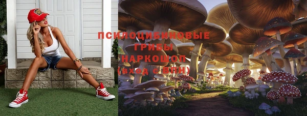 ешки Мегион